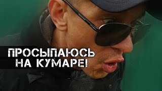 Шаман Просыпаюсь на кумаре!