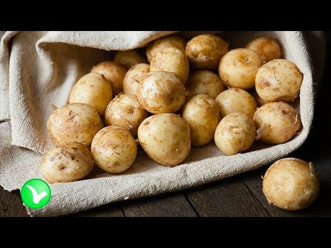 Молодой картофель - польза и вред. Стоит ли есть ранний картофель?