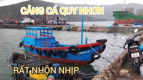 Tham Quan Cảng Cá TP. Quy Nhơn T. Bình Định