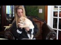 Breeder Insights: Puppy Play Biting Breeder Insights: Puppy Play Biting