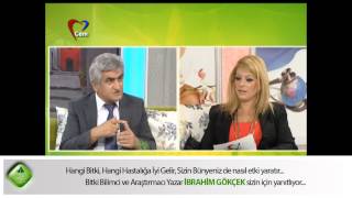 Cinsel Hastalıklar, Cisel Yeresizlik, Depresyon Tedavisi, Depresyona Bitkisel Çözüm