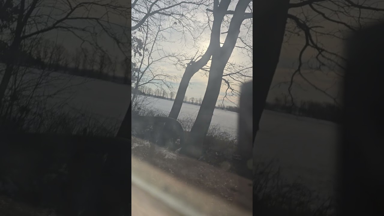 Znaleziska podczas zwiedzania lasu ( drewniana chatka) a na końcu stado saren