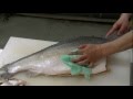 サーモン握り　Salmon Sushi