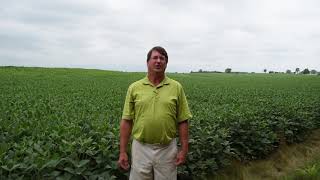 Soil variability intro