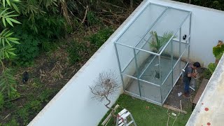 Download Lagu KEPUTUSANE AKHIR PALEM DEAL DI GUWAK MP3