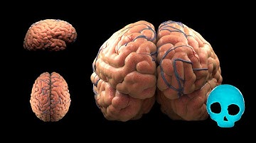 Growing the Brain Veins [Particle Flow + Frost Tutorial]
