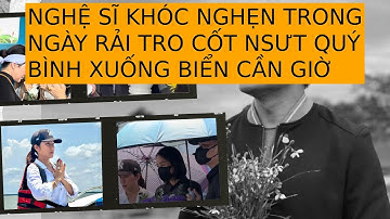 NGHỆ SĨ KHÓC NGHẸN TRONG NGÀY RẢI TRO CỐT NSƯT QUÝ BÌNH XUỐNG BIỂN CẦN GIỜ