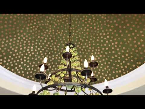 1698 Courtney Cove, Springdale, AR home video tour