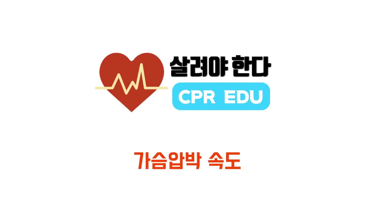 2-2 가슴압박 속도