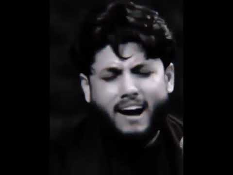 مرتضى حرب باب من اجذوع وثجيلة وزن