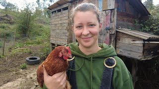 We need more space! Building an extension for our chickens