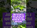 God is a Spirit: and they that worship him must worship him in spirit and in truth. John‬ ‭4‬:‭24‬ ‭