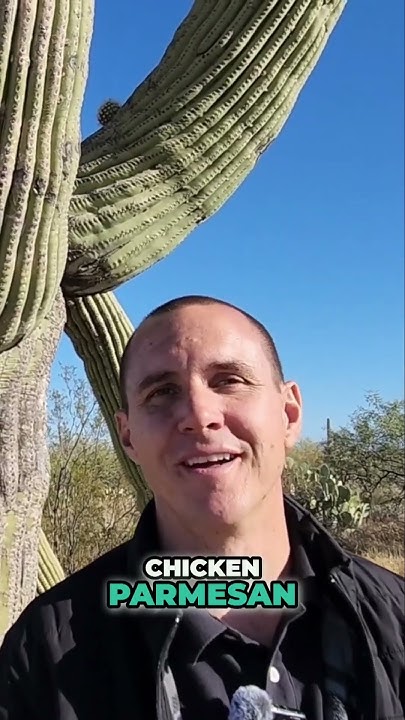 explore-tucson-s-top-italian-restaurants-shorts-italianfood-youtube