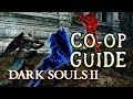 Dark souls 2 coop guide and rules