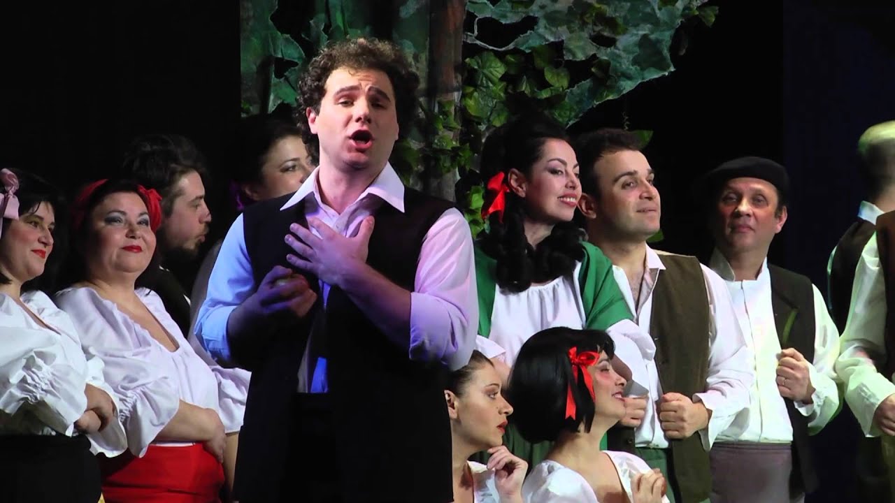 aria-din-opera-elixirul-dragostei-de-gaetano-donizetti-youtube