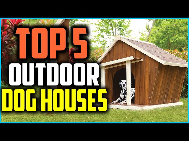 Best Insulated Dog Houses for 2024 - Top 5 Winter Dog House Review 
