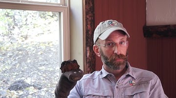 Mr  Naturalist visits with Biological Soil Crust