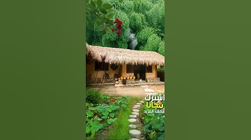 سورة الملك  - تلاوه تريح القلب ❤ والعقل