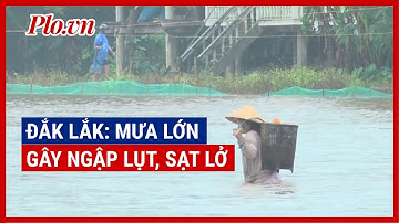 Mưa lớn gây ngập lụt, sạt lở ở nhiều nơi ở Đắk Lắk - PLO