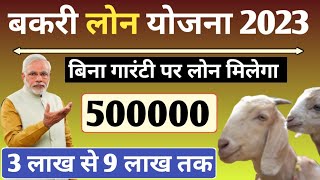 20 बकरियों से किसान हर महीने 40,000 रुपया कमा सकता है | Bakari Loan Kaise Milega | Goat Farming Loan