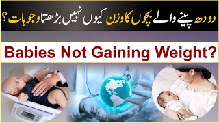 "Milk Feeding Issues: How to Help Your Baby Gain Weight" / Bachon ka wazan na berhny ki wajohat.