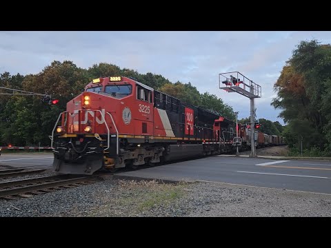 CN Trains of Springfield, MI CN Trains of Springfield, MI