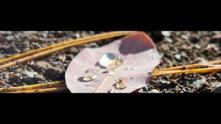 Redaxoid - Nope (Prod. EIGHTSIX - Afterlife)