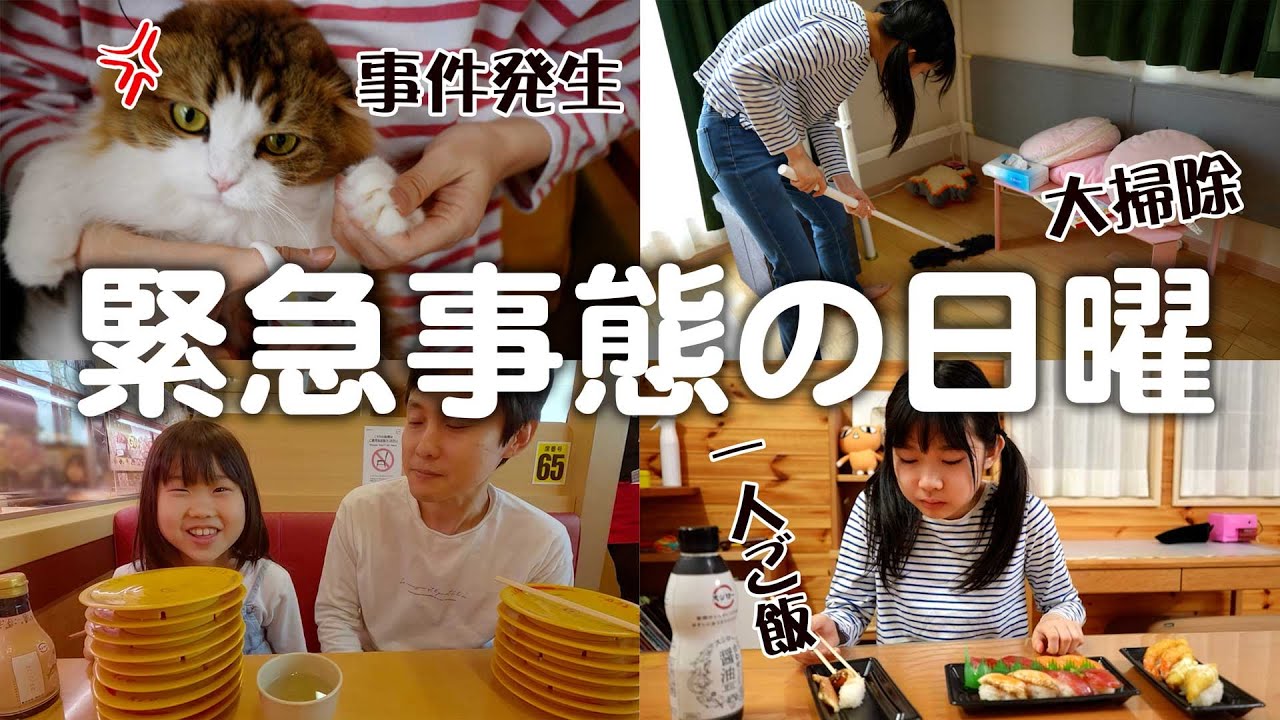 まさかの事件発生で病院へ！外食組と1人飯、チョコミント解禁の日