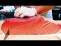 역대급 최고의 생선회, 200KG 대왕 참치, 광어 연어 신선한 모듬회, 인생초밥, The Best Sashimi in Korea, 200kg Tuna Sashimi, Sushi