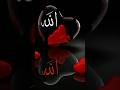 i just sa✅🕋w the garde find i just saw  th🕋✅e garden high school tom