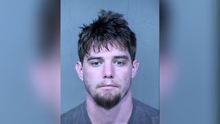 Police arrest suspect who tried to steal woman's wheelchair on Phoenix light rail