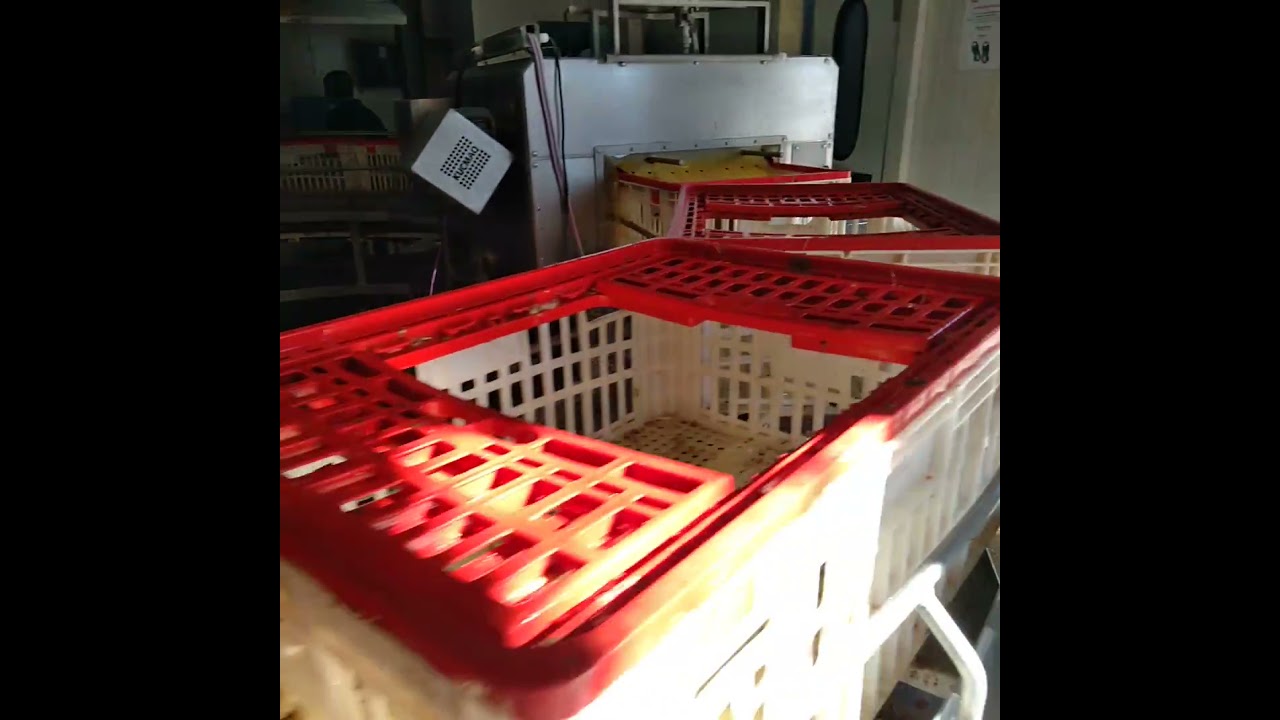 circuito de la vado planta soychu gualeguay