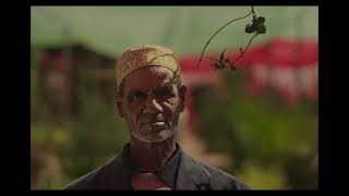 WITH THE WIND - #DIFF2026 Trailer