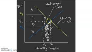 Video Activity 2 Econ 101