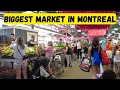 Inside Montreal’s Biggest Market (Marché Jean-Talon)