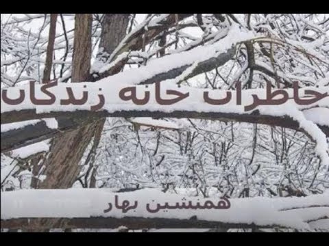 خاطرات خانه زندگان (قسمت چهاردهم)؛ "مشکل جامعه ایران با گرفتن قدرت سیاسی حل نخواهد شد"