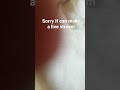 ean made a live stream
