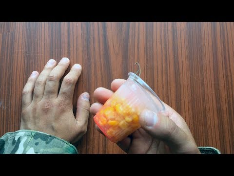 გაყინული ჭიქა მონტაჟი საზანზე ამურზე