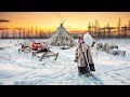 Что такое снег?.. Почему белый. Откуда берется. В городе, тундре. В чуме | Полярные истории