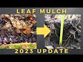 Leaf mulch 2023 update