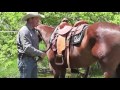 How to properly cinch a horse