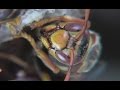身を犠牲にしても守る