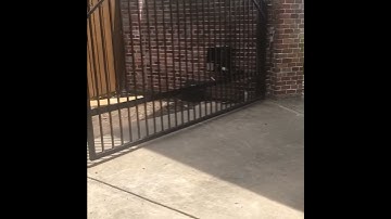 Apollo SwingGate opener