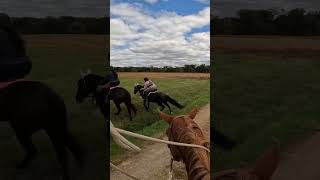 Wipe Out Fell Off Chaos At Gettysburg Battlefield