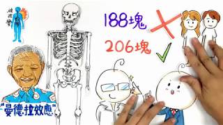 2012信息vol.382 導讀 ── 曼德拉效應(一)