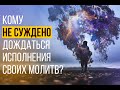 "Его пища запретна, одежда запретна и вскормлен он был запретным..."