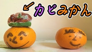 カビみかんを正常みかんの上に置いて放置してみた!!　PDS