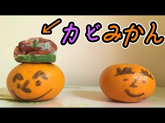 I tried leaving a moldy mandarin orange on top of a normal