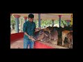 Serving cows is like serving divinity. Let’s cherish and protect these gentle beings #feedtheanimal