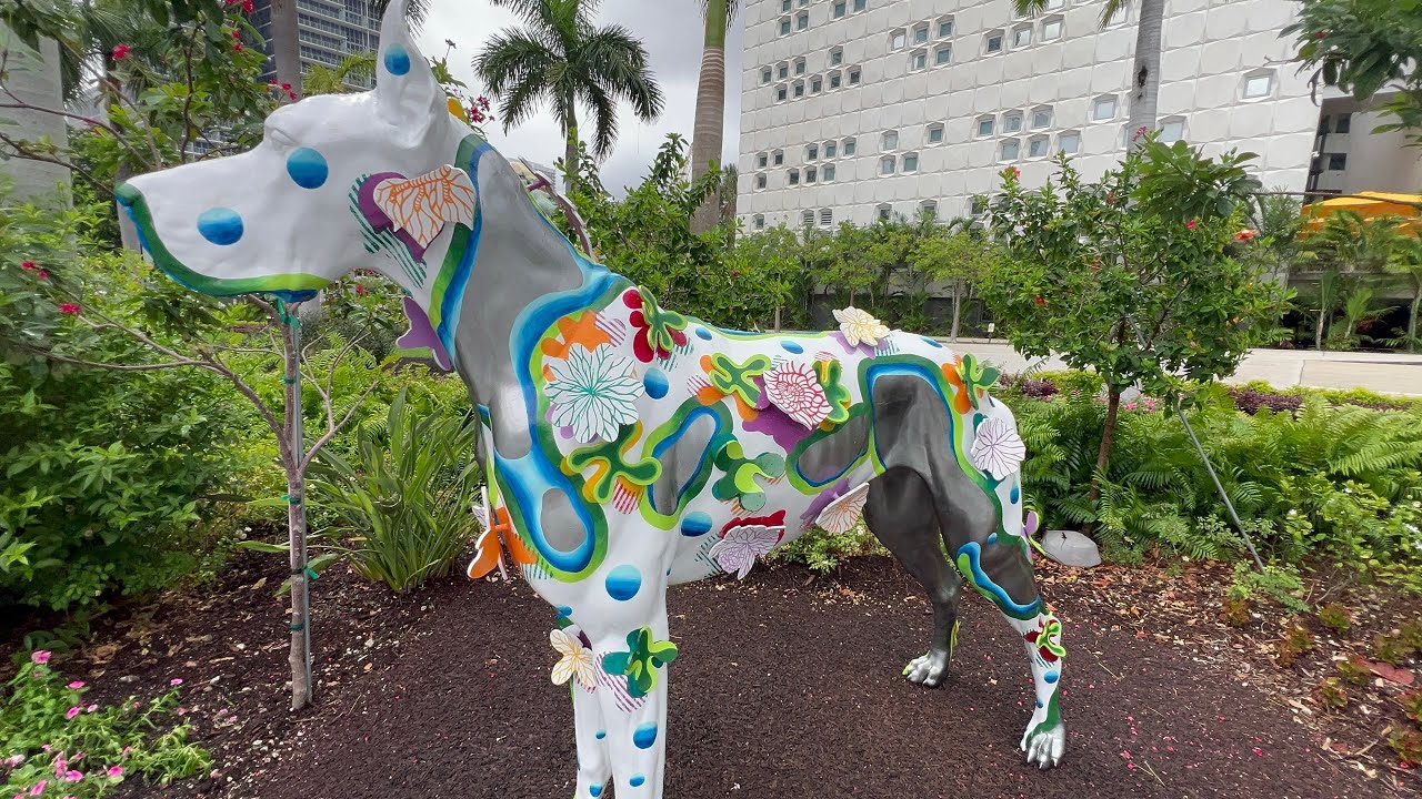 Cats And Dogs At P rez Art Museum In Miami YouTube cats-and-dogs-at-p-rez-art-museum-in-miami-youtube